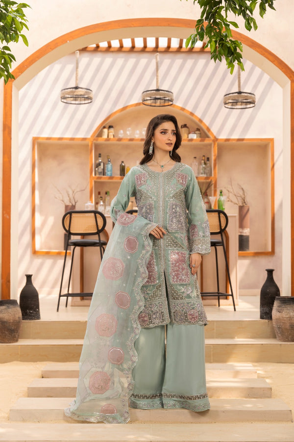 Luxury pakistani party wear formal-organza 3pc