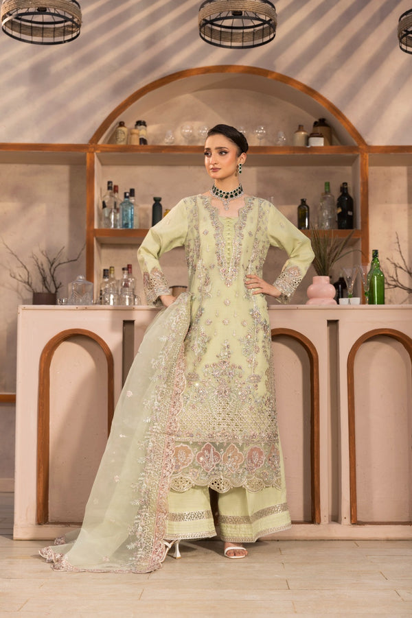 Luxury pakistani party wear formal-organza 3pc