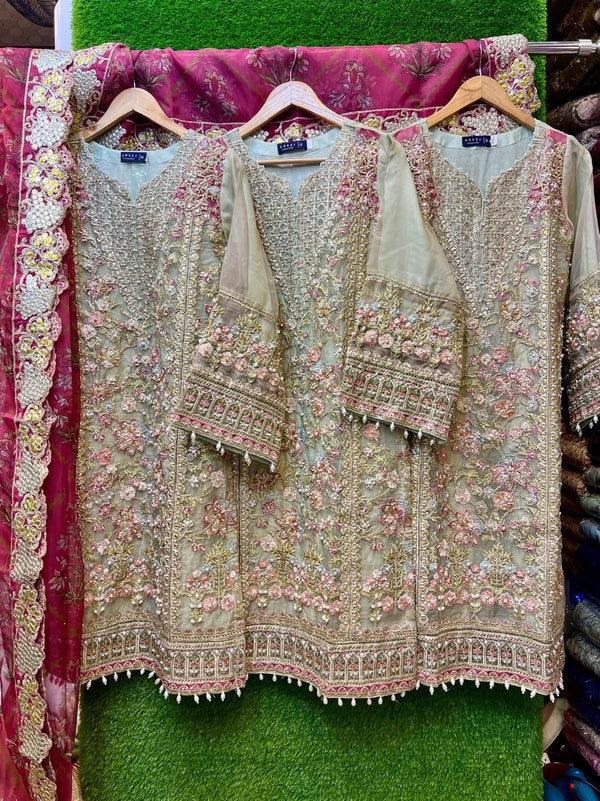 Luxury pakistani party wear formal-Organza