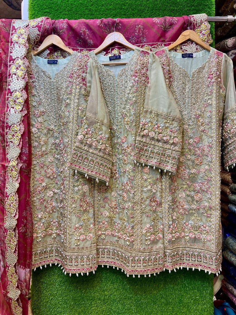 Luxury pakistani party wear formal-Organza
