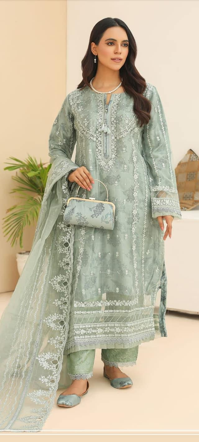Bint e noor - Organza 3pc - Free jewellery  and khussa