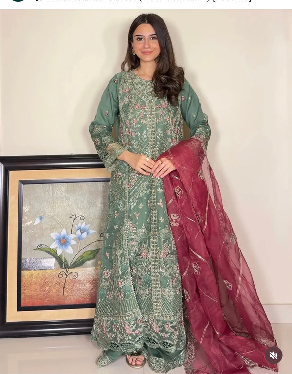 Luxury pakistani party wear formal-organza 3pc