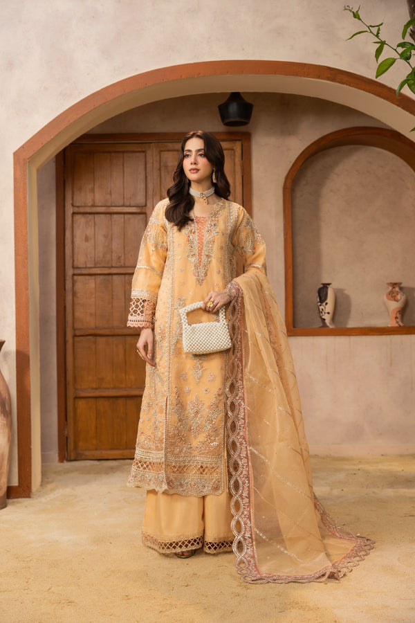 Luxury pakistani party wear formal-organza 3pc